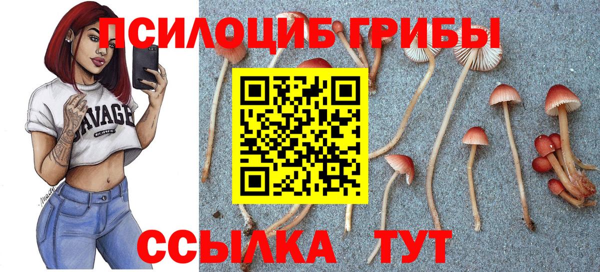Галлюциногенные грибы прущие грибы Новоуральск