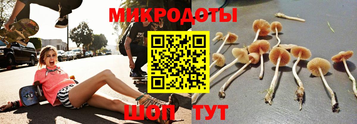 Новоуральск  Галлюциногенные грибы мухоморы  Вход с VPN 